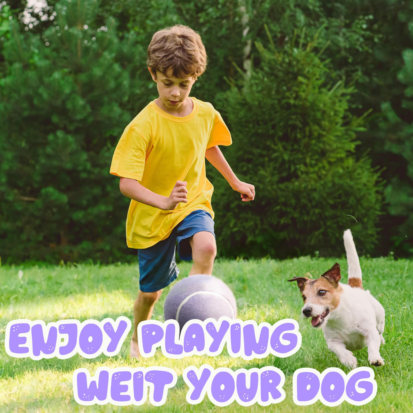 Banfeng Balle Tennis Chien violet clair, outil d’entraînement et de jeu en parc.