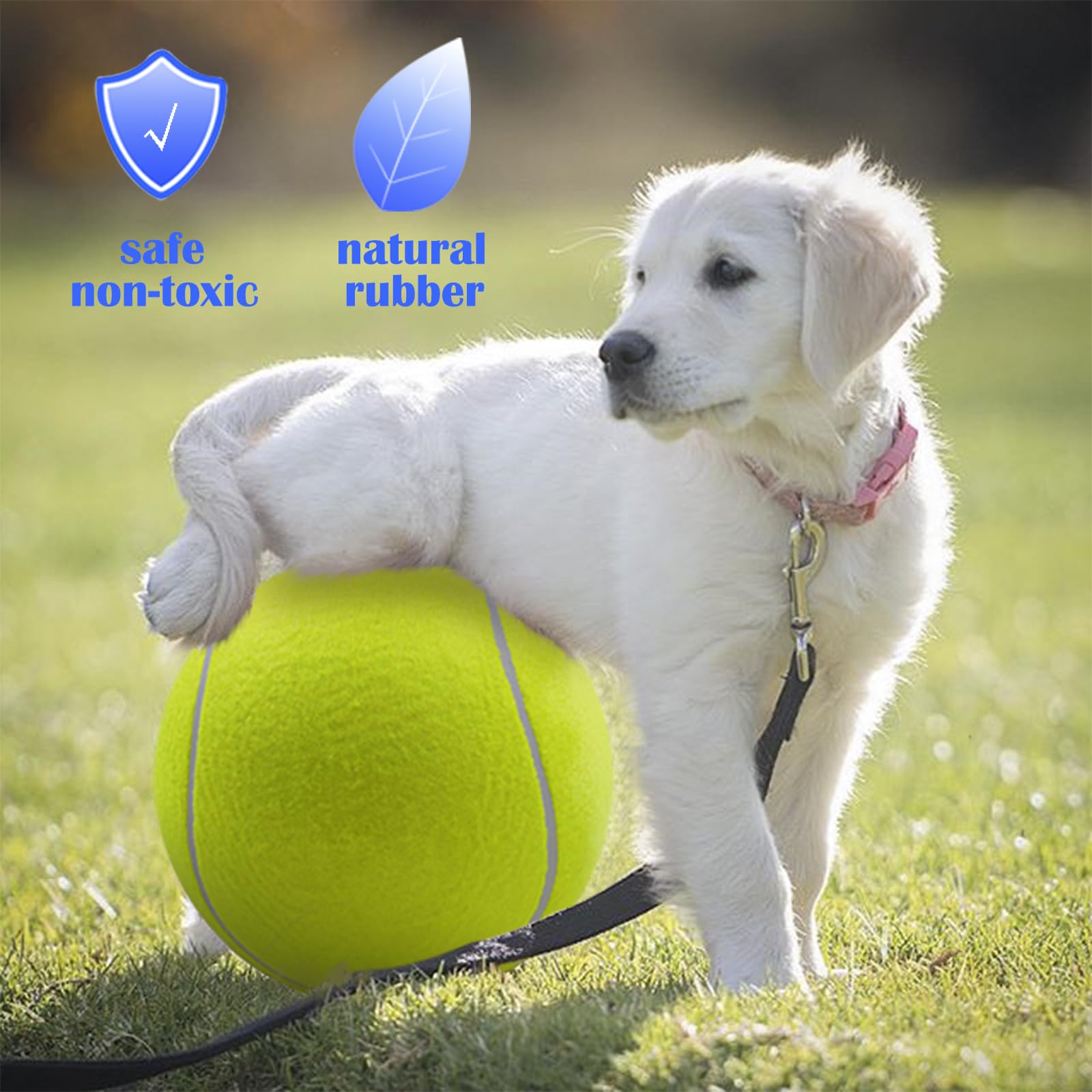 Banfeng Balle Tennis Chien Extérieur Grande Jaune pour jeux et course