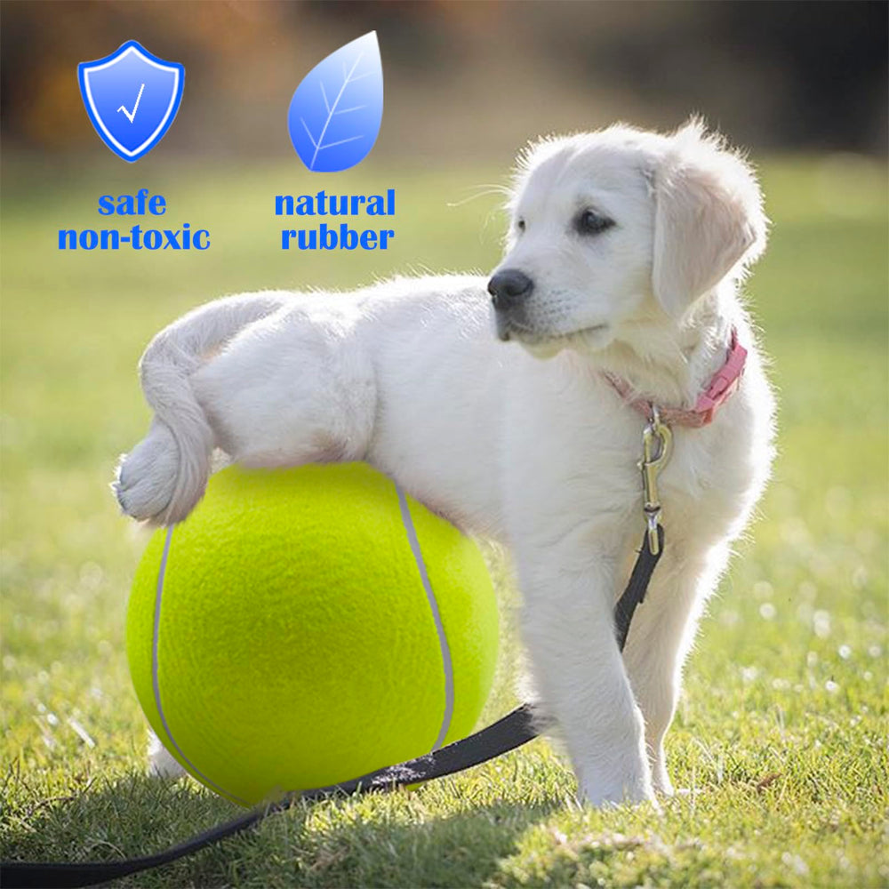 Banfeng Balle Tennis Chien Extérieur Grande Jaune pour jeux et course