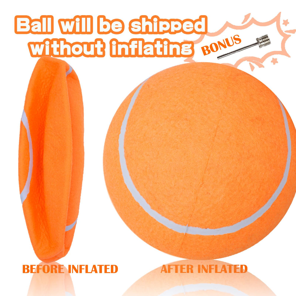 Banfeng Balle tennis chien en extérieur prête pour entraînement et jeu