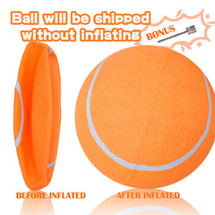 Banfeng Balle tennis chien en extérieur prête pour entraînement et jeu