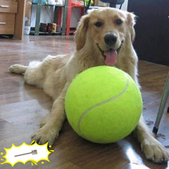 Banfeng Balle Tennis Chien Géante Jaune 9,5 pouces prête à l'exercice extérieur