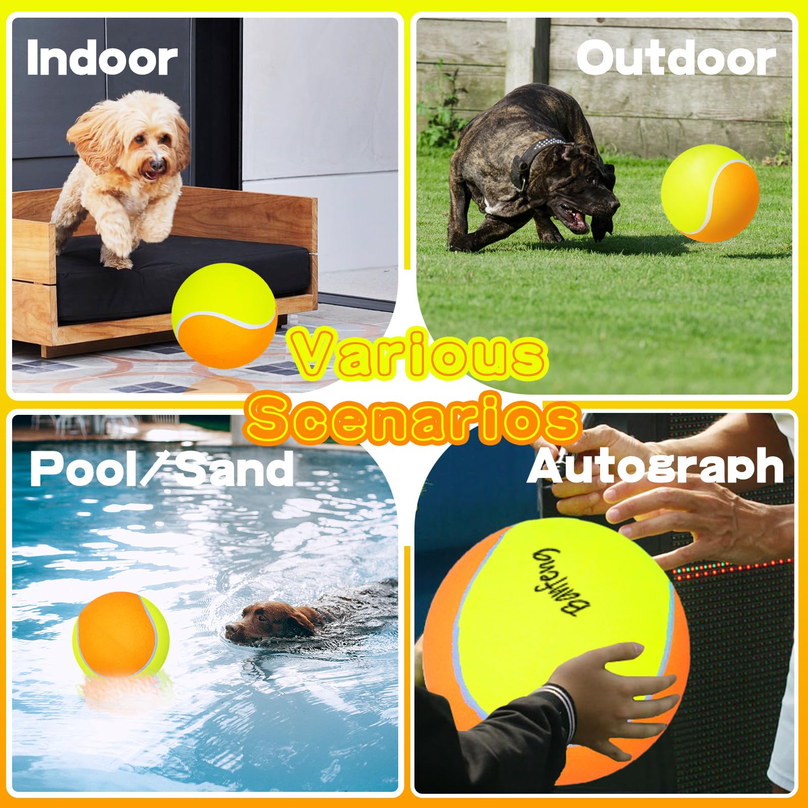 Banfeng Balle Tennis Chien couleur vive, attire l'attention et l'exercice