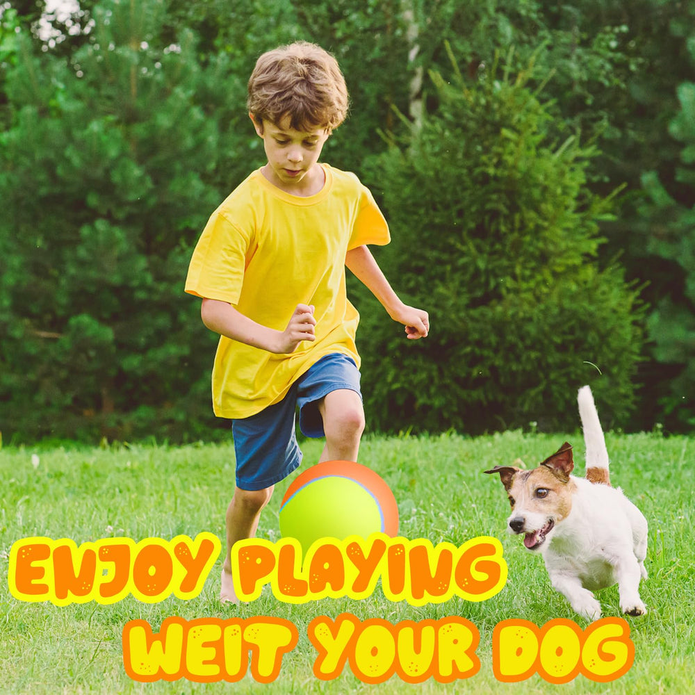 Banfeng Balle Tennis Chien résistant en plein air et durable