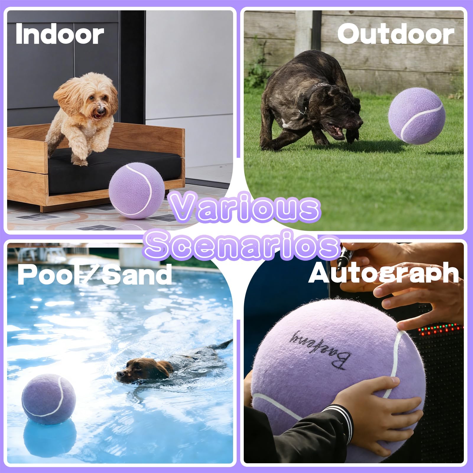 Banfeng Balle Tennis Chien violet clair, pratique pour jeu en plein air et renforcer le lien.