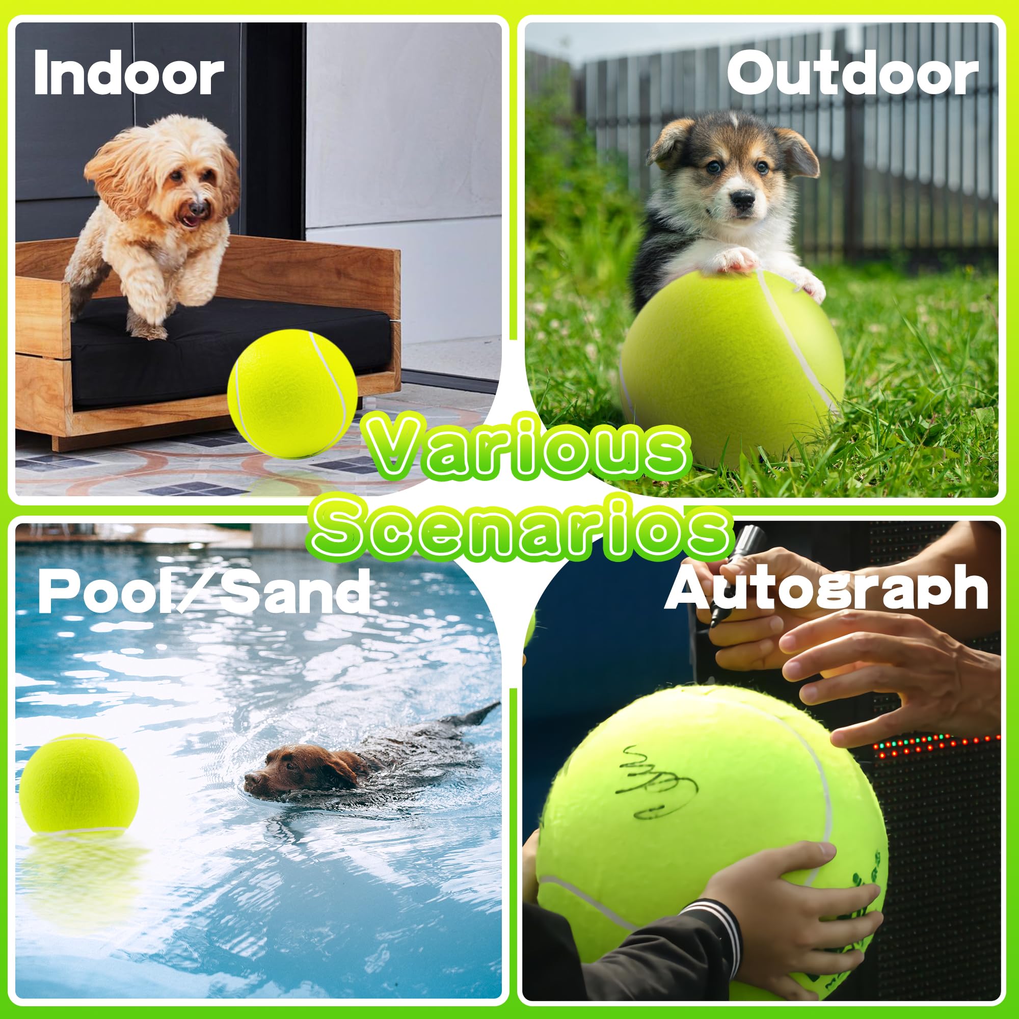 Banfeng Balle Tennis Chien Non toxique sécurité lors des jeux
