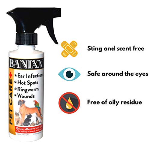 Banixx sécurité multi-animaux, adapté chevaux chiens et chats.