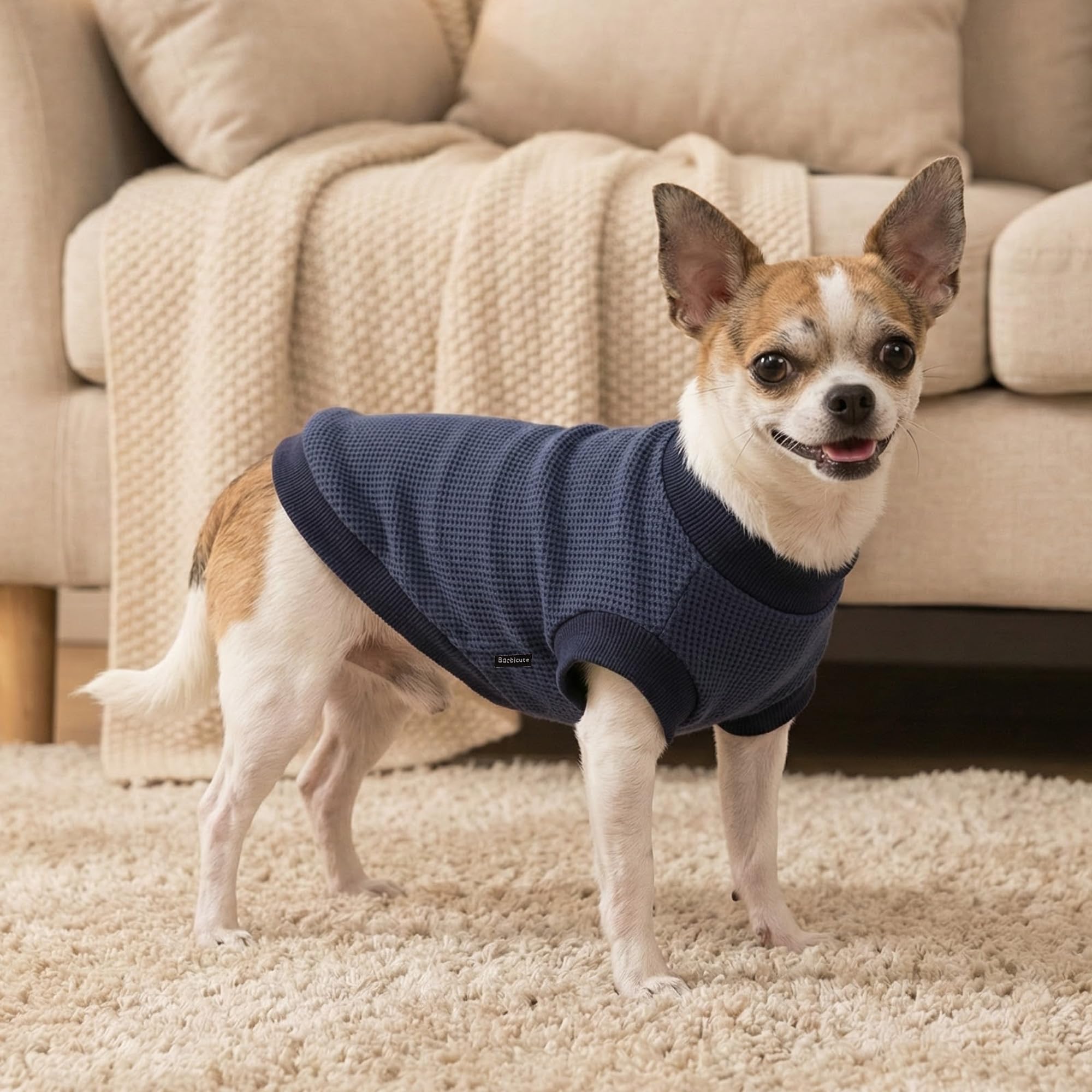 Baobicute chiot porte maillot doux hiver, chaleur légère et confort.