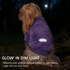 Baobicute ensemble gilet chien petit - trio de couleurs pour varier les looks