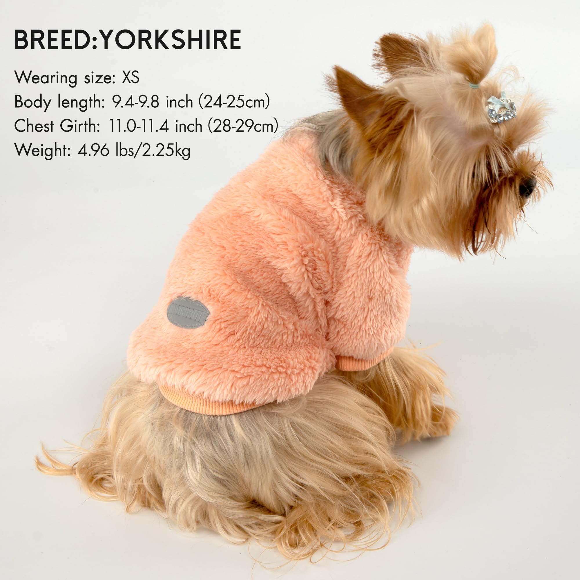 Baobicute gilet chien petit violet - vue arrière, meilleure visibilité nocturne