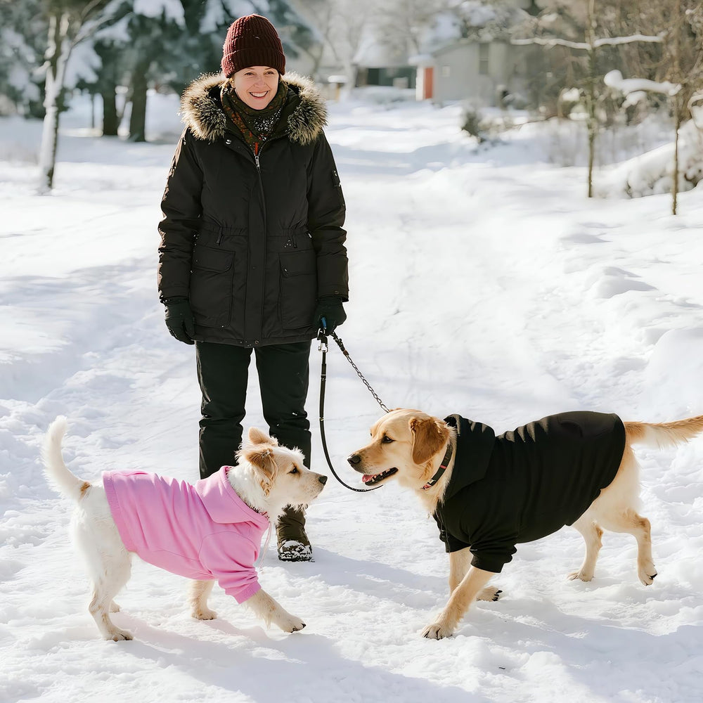 Pull BAOBICUTE pour chien – plaid élégant et capuche 3D, protection contre le vent.