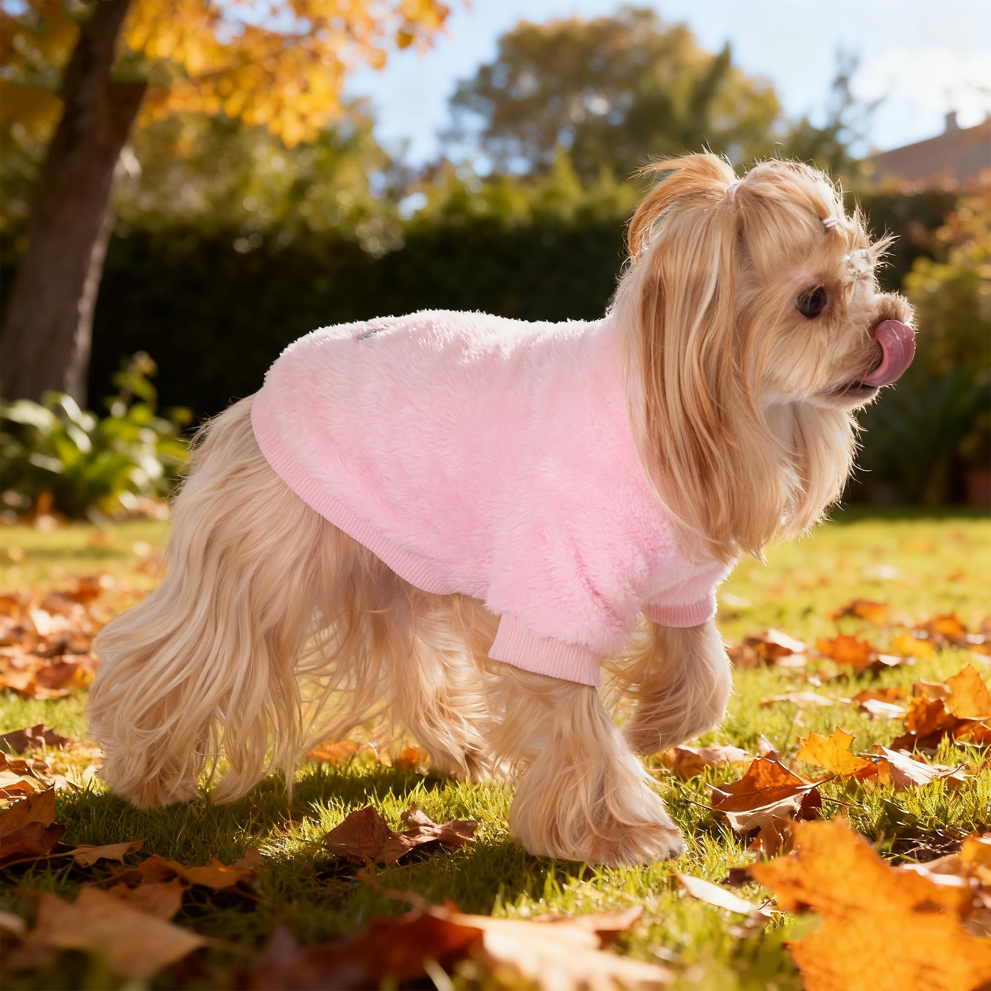 Baobicute pull chien lavage en machine, entretien facile.