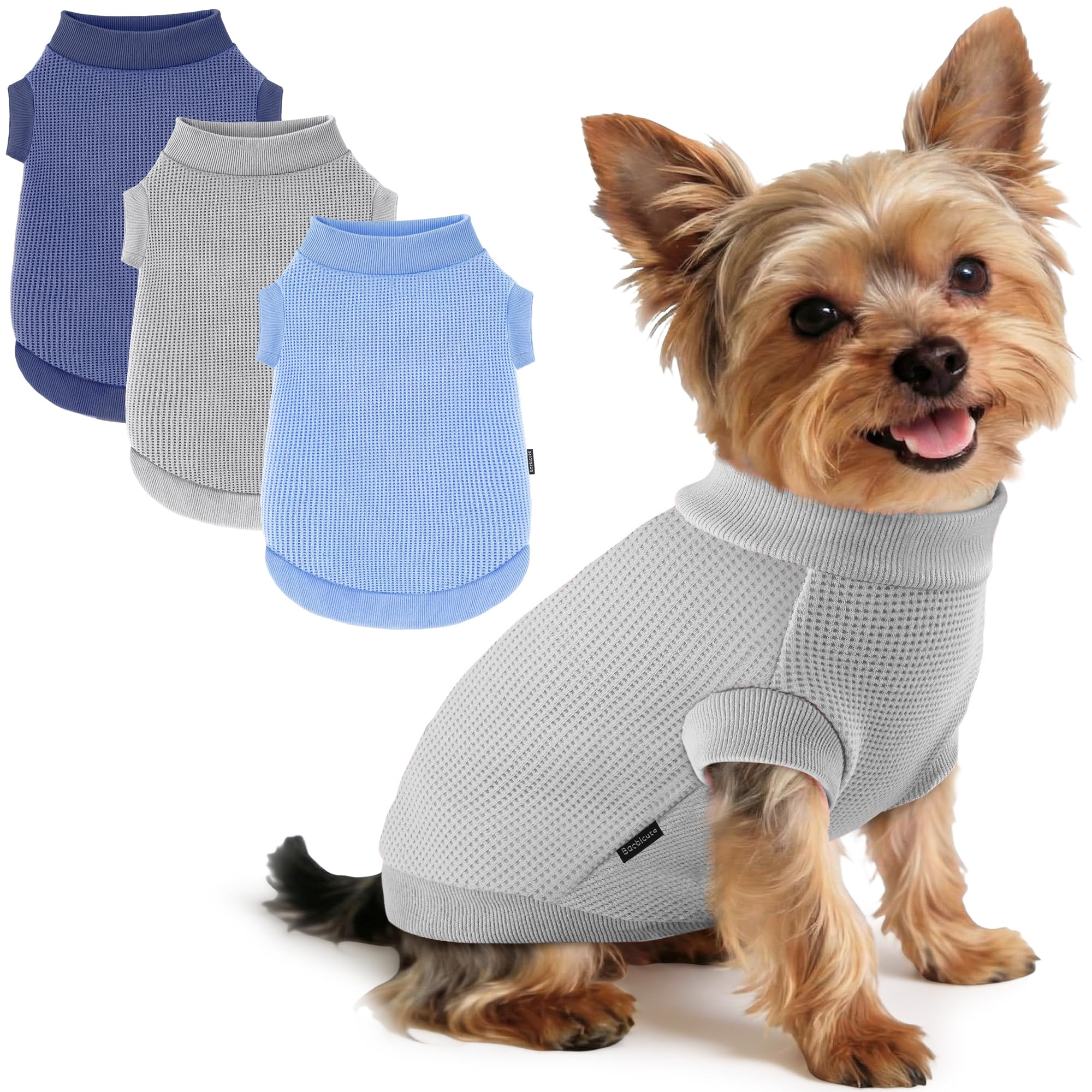 Baobicute pull-chien-petit-ensemble: confort durable pour petites races et sorties quotidiennes.