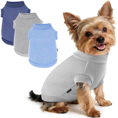 Baobicute pull-chien-petit-ensemble: confort durable pour petites races et sorties quotidiennes.