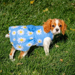 Baobicute robe chien petite bowknot floral, douceur et confort en balade.