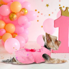BAOBICUTE robe princesse chien couronne et étoiles pour photo