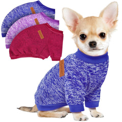 Baobicute: trois pulls pour petits chiens douillets, parfaits pour les promenades.