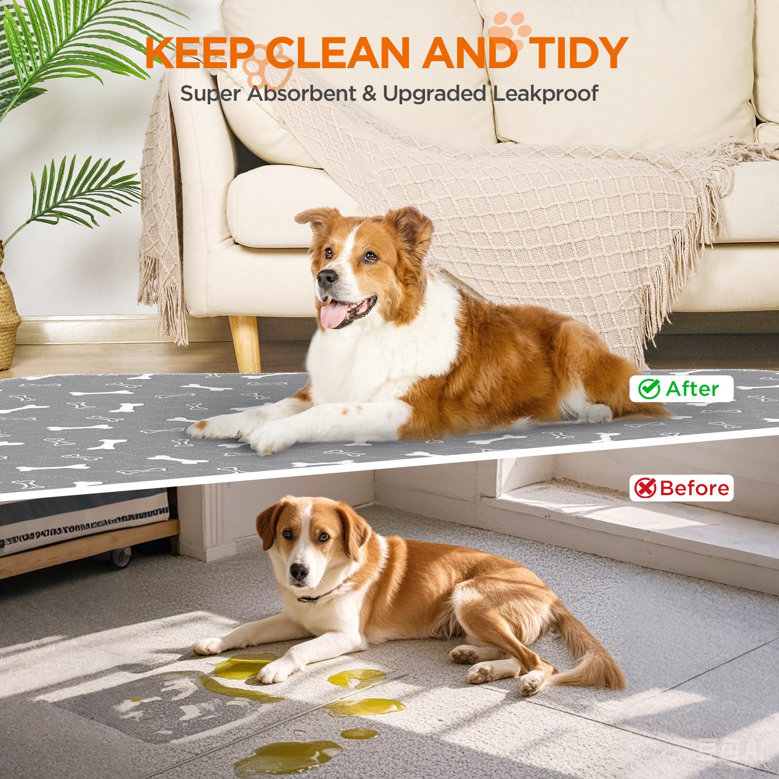 Baodan-kit-tapis-chien-gris-double-36x48 : duo pratique pour alterner utilisation et lavage.
