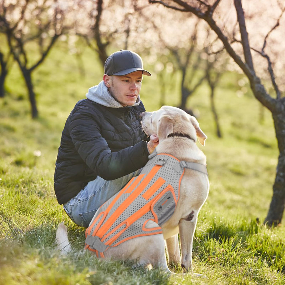 BaoGuai utilisation-quotidienne-dos conçu pour les activités quotidiennes du chien.