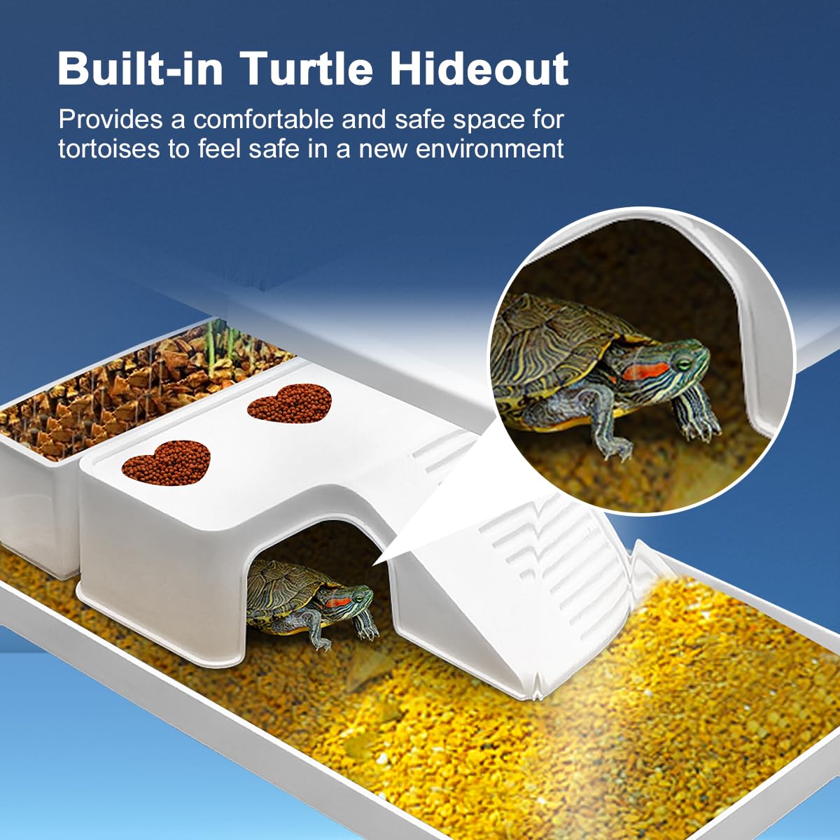 Baoyemes habitat-multi-especes-tortue-crustacés-amphibiens convient à plusieurs espèces.
