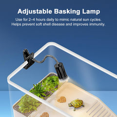 Baoyemes système-drainage-bas-tortue simplifie le nettoyage et maintient l'eau claire.