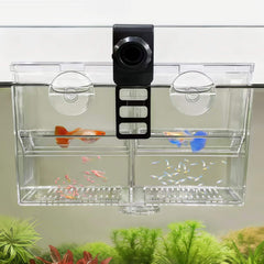 BaoZqua boîte d'élevage à double chambre transparente pour observer les alevins sans déranger.