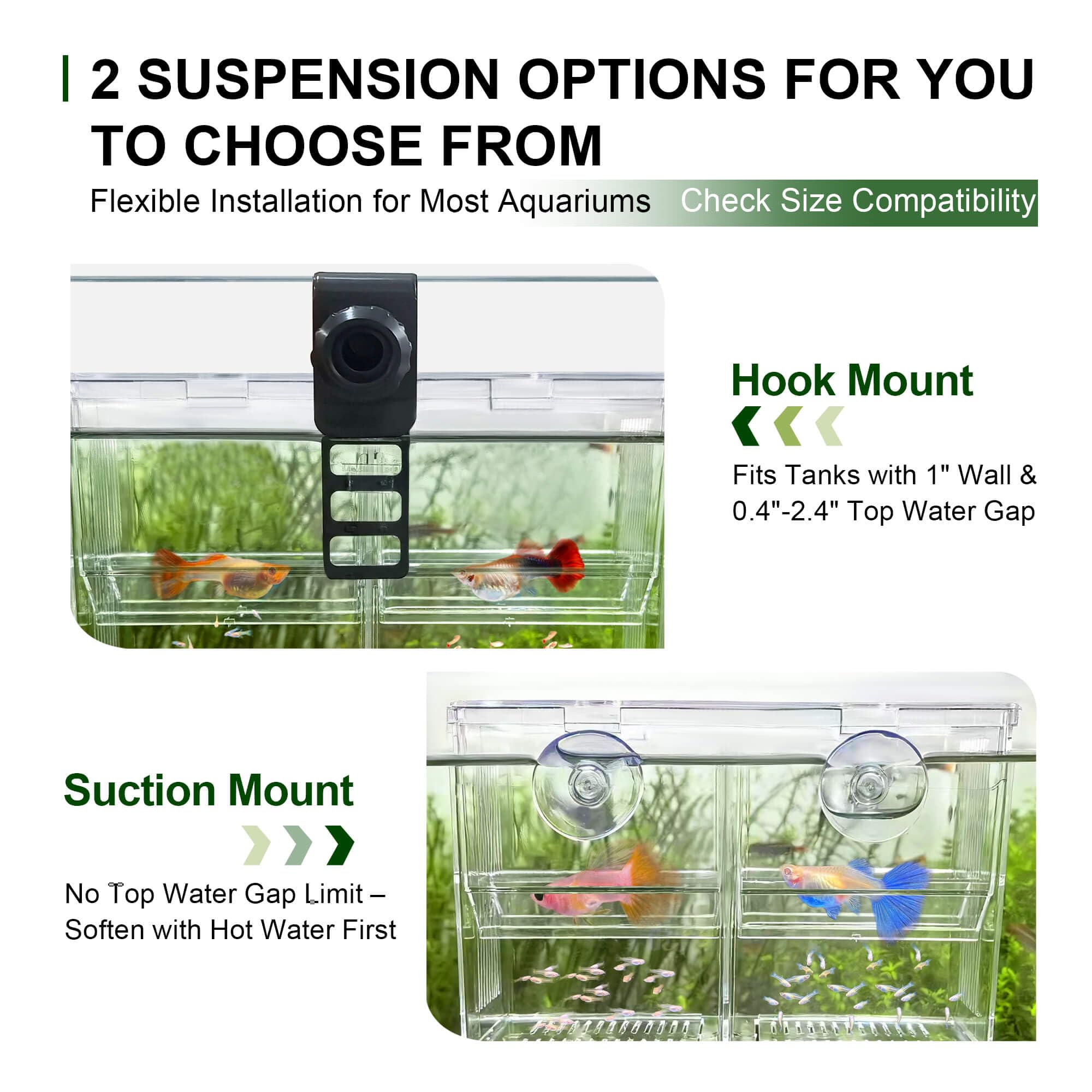 BaoZqua ventouses et crochet assurant une fixation flexible dans l'aquarium.
