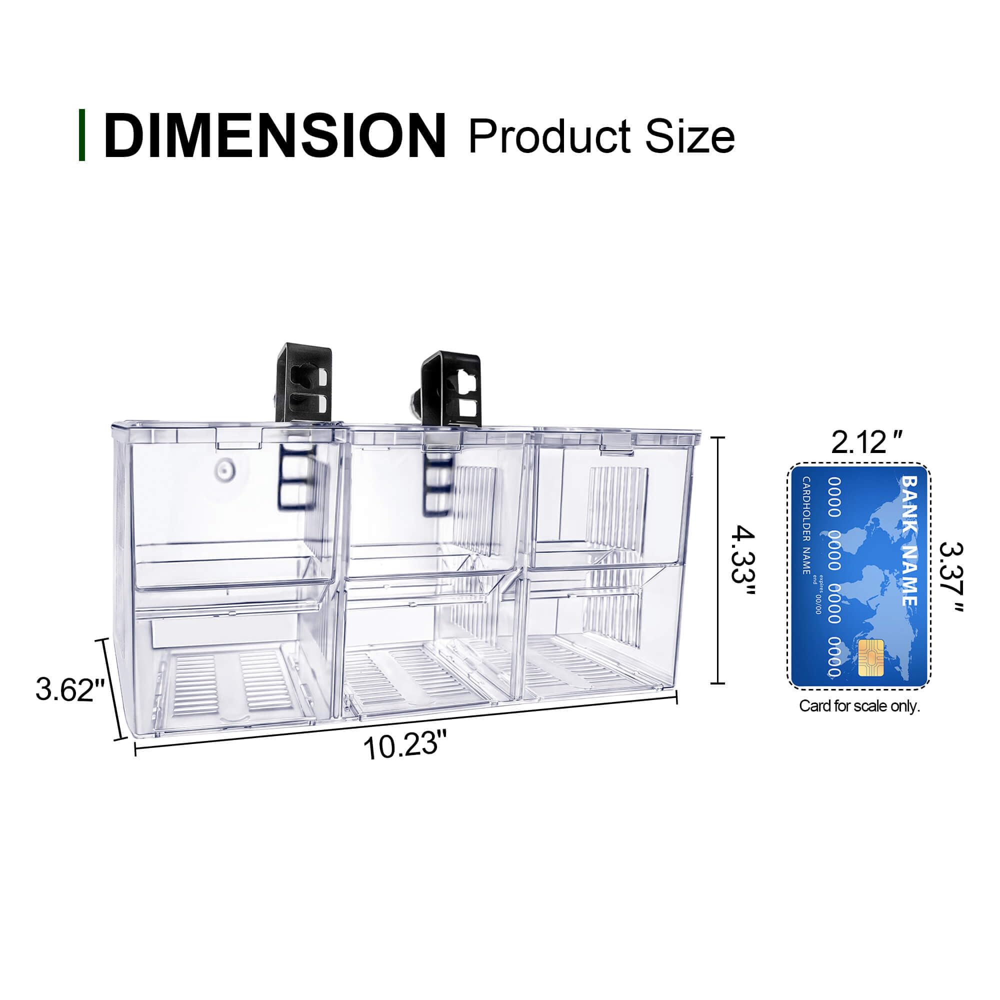 BaoZqua zone nurserie poissons nouveaux-nes, protection des alevins contre les adultes.