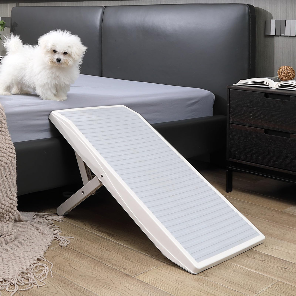 BAQTALE Rampe chien-lit: accès facile et sûr pour les chiens sur le lit.