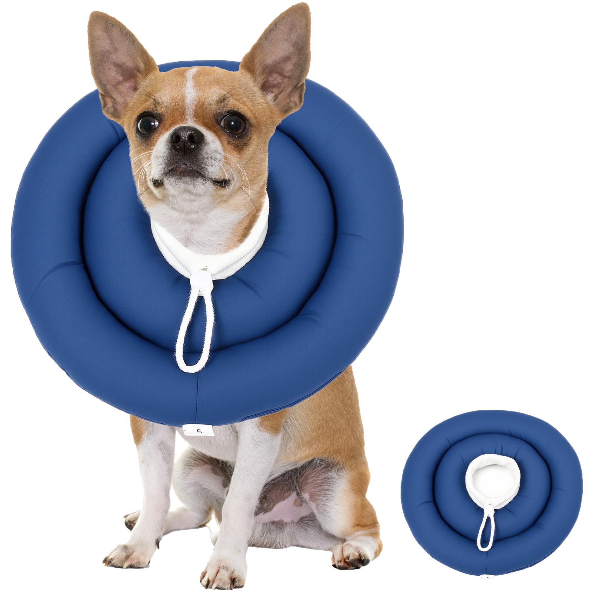 BARDIMIES cone doux chien en premier plan, confort respirant pendant la convalescence.