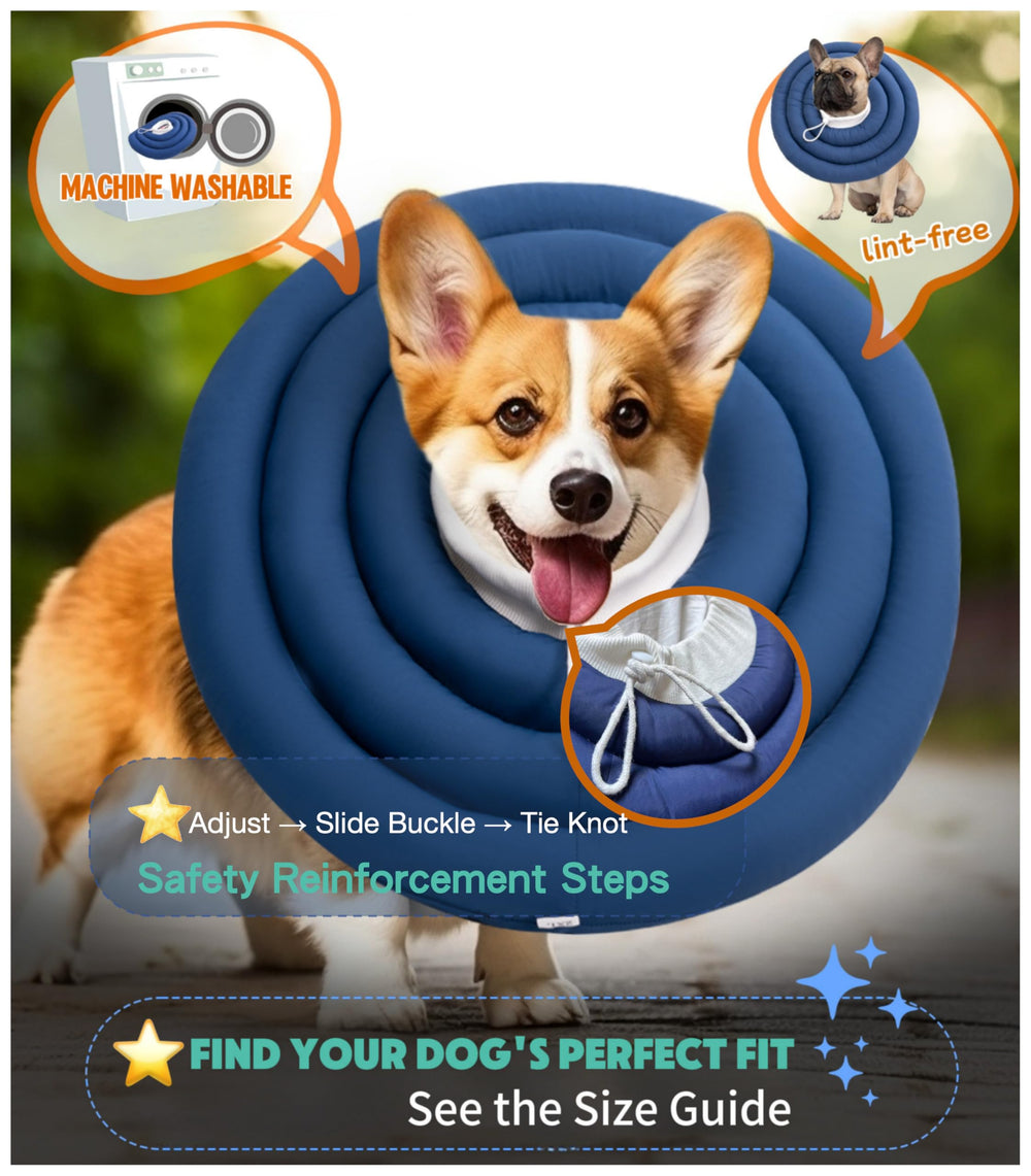 BARDIMIES cone doux chien tissu hypoallergénique et confortable.