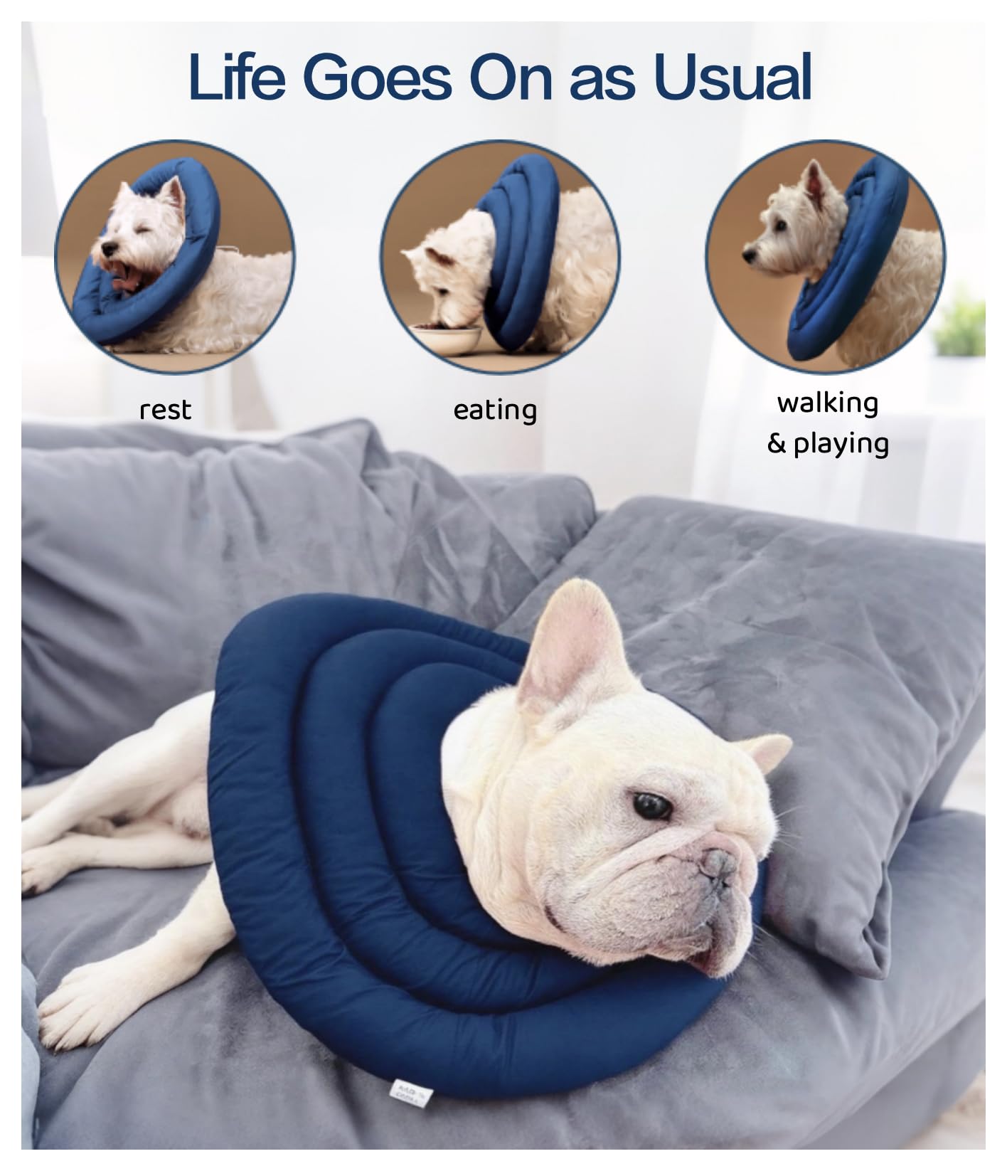 BARDIMIES cone doux chien imperméable et facile à nettoyer.