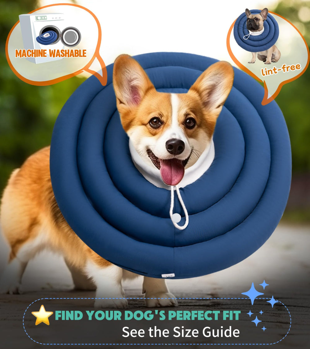 BARDIMIES guide tailles chiens — ajustement précis pour cou confortable.