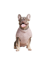 Maille CozyChic en fil plume Barefoot Dreams, douceur extrême pour le pelage.