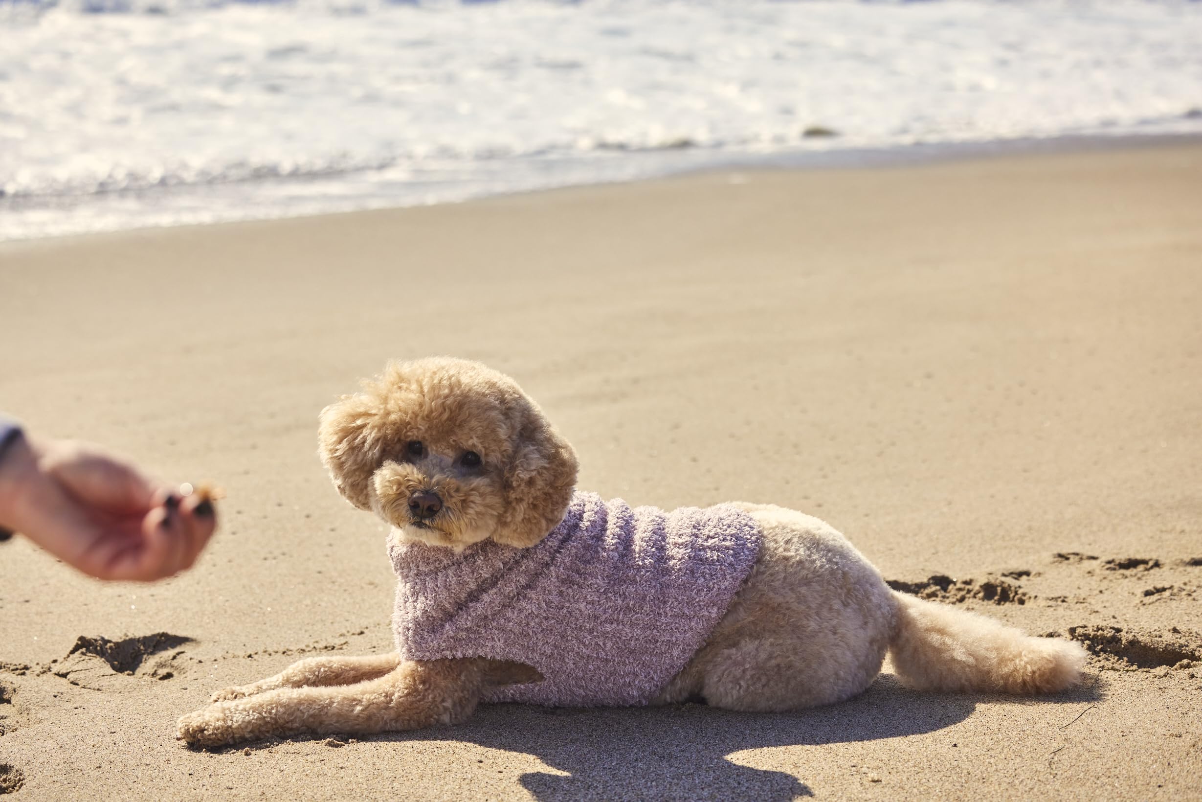 Couleur Vintage Rose du pull Barefoot Dreams pour chien, look chic.