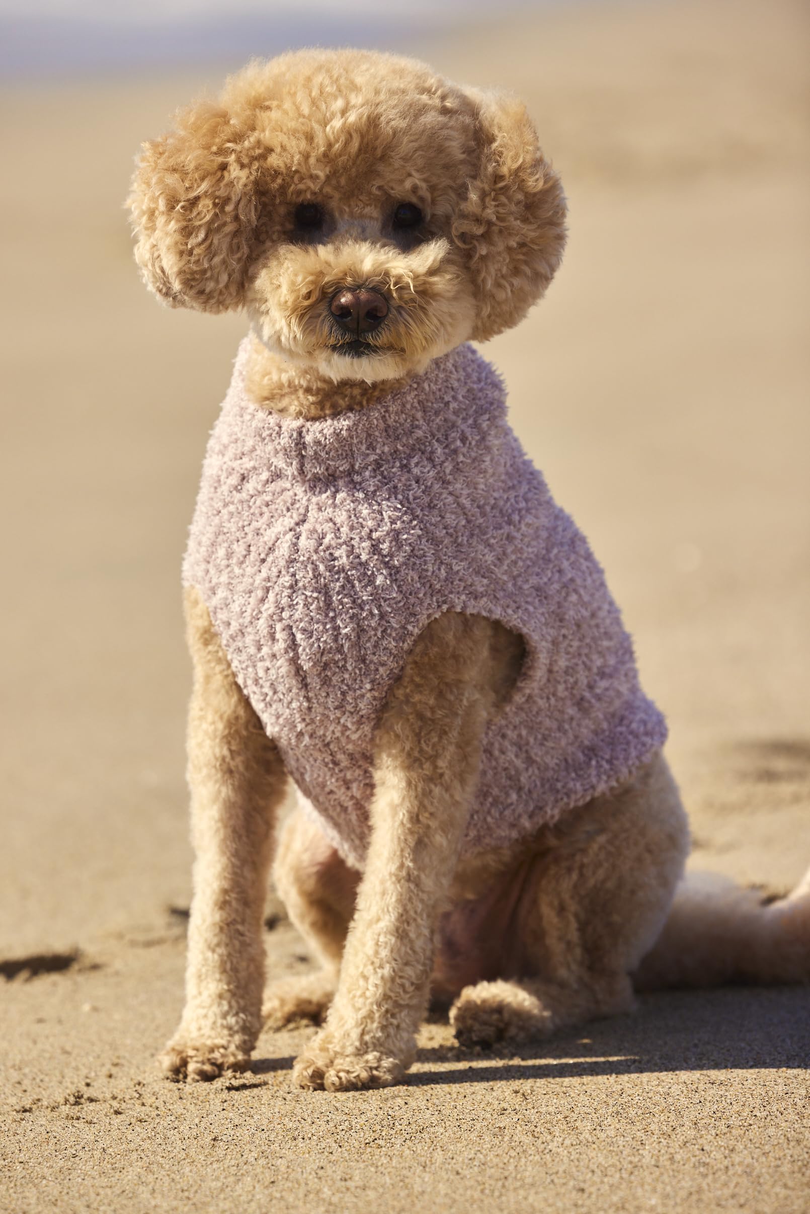 Ouverture spéciale pour laisse sur le pull Barefoot Dreams, pratique lors des promenades.