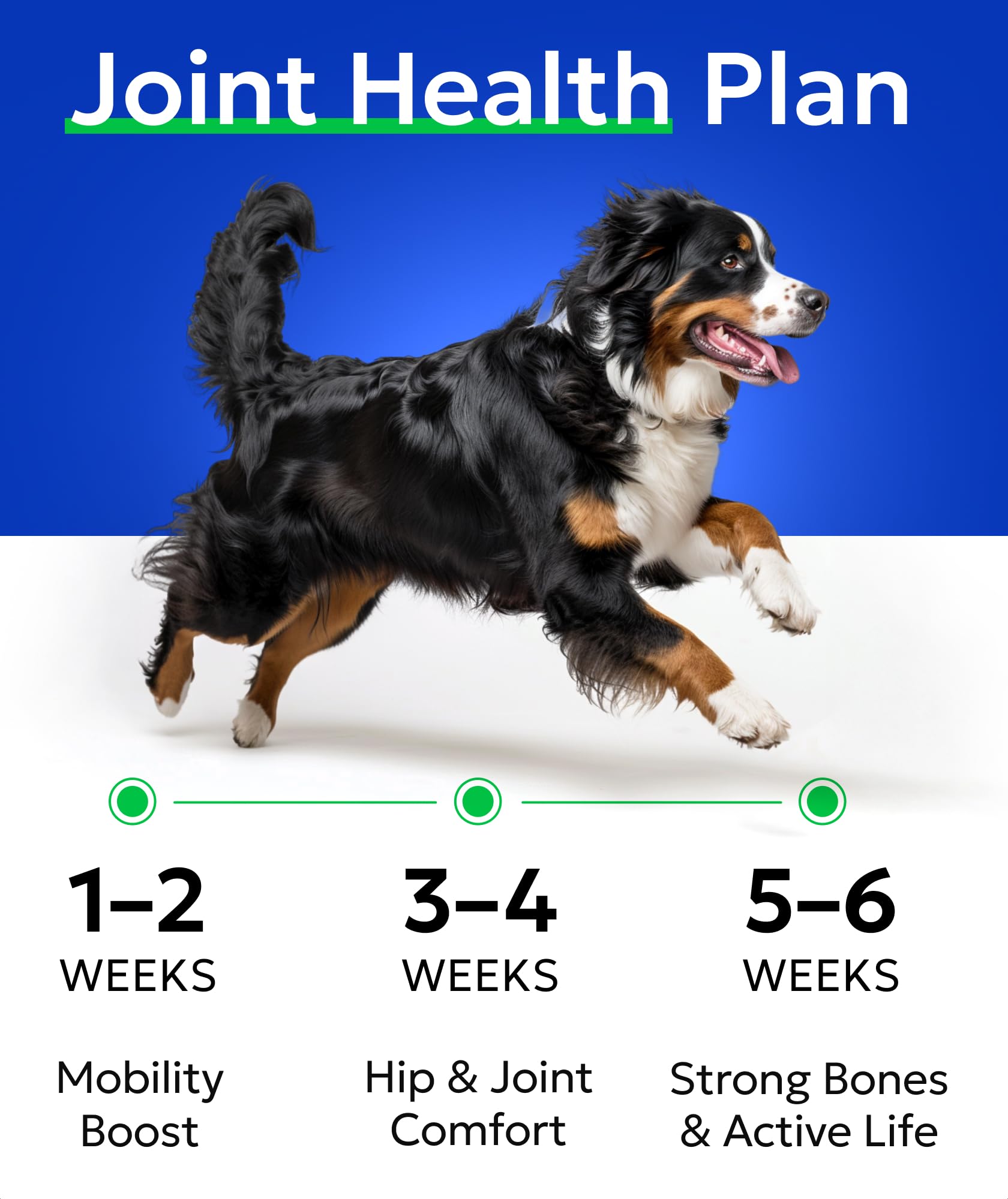 Soutien articulation chien petit Bark&Spark, dosage léger et pratique.
