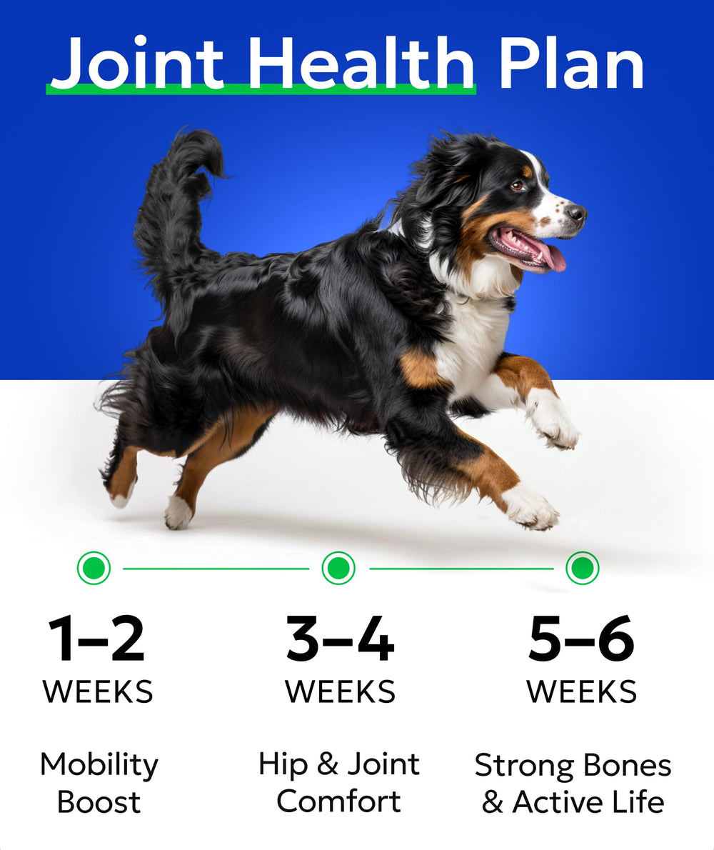 Soutien articulation chien petit Bark&Spark, dosage léger et pratique.
