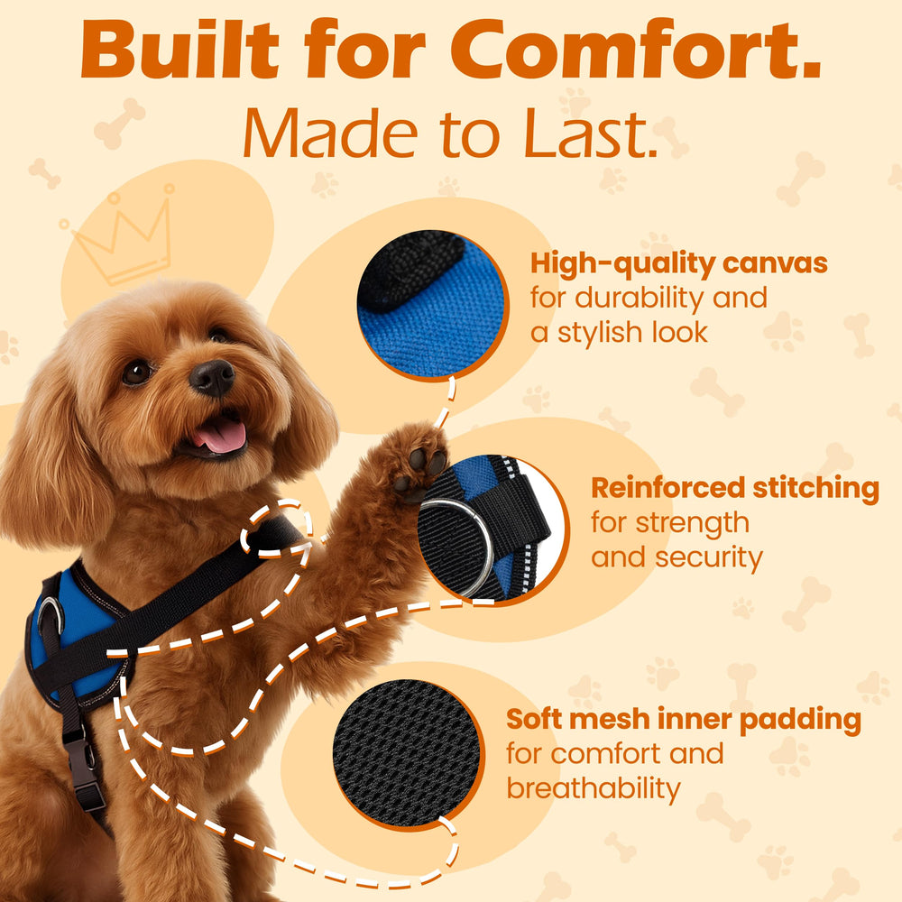 Harnais Bark Appeal, 3 attaches, bleu XXL, polyvalent pour marche, jogging et entraînement.