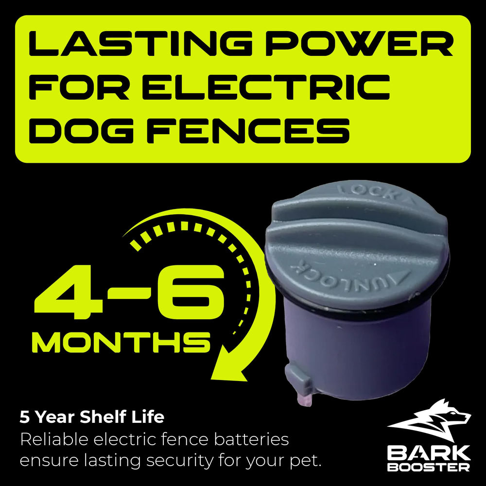 Pile Bark Booster remplacement R21, facile à installer.