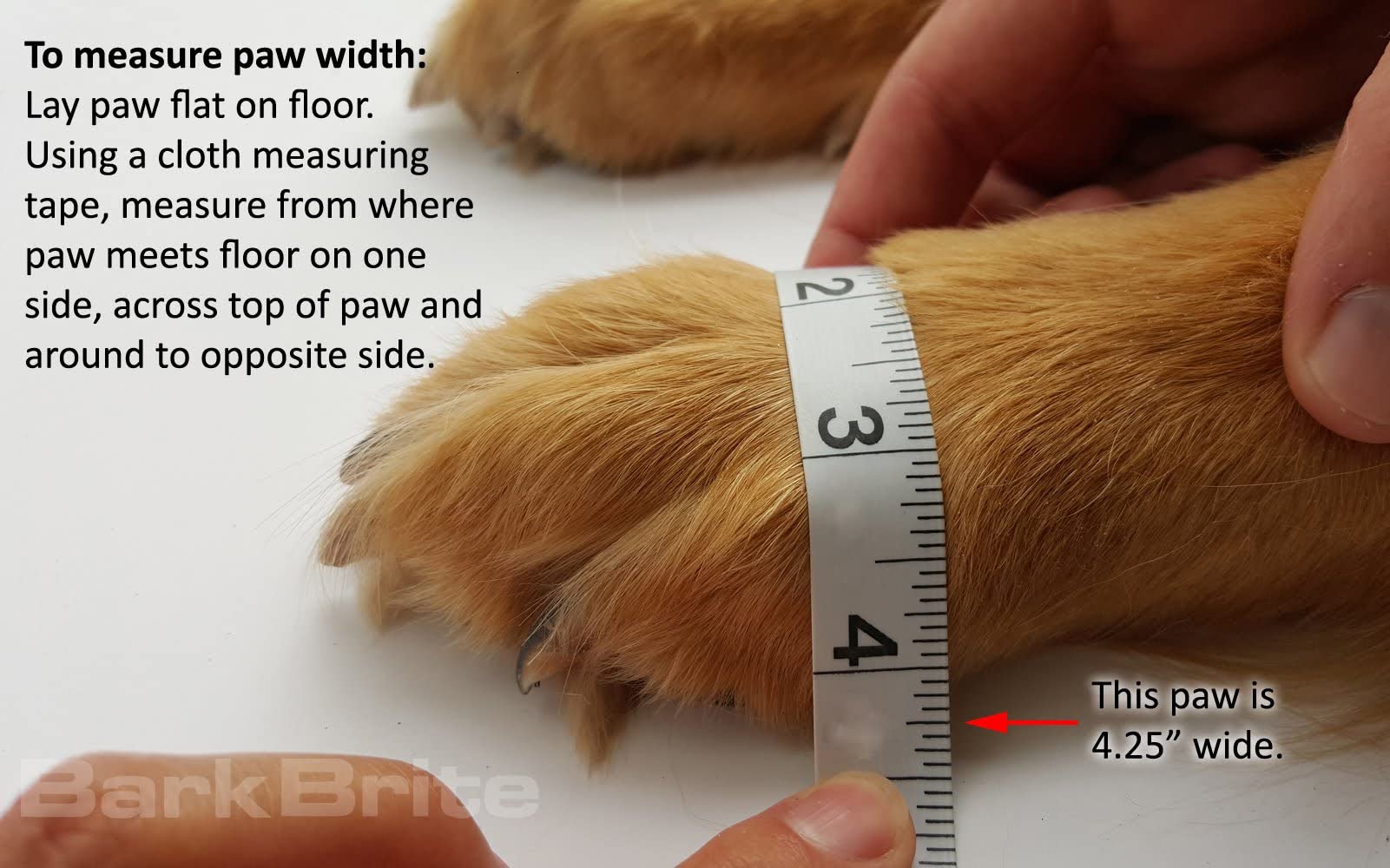 Bark Brite: doublure légère intérieure assurant confort thermique.