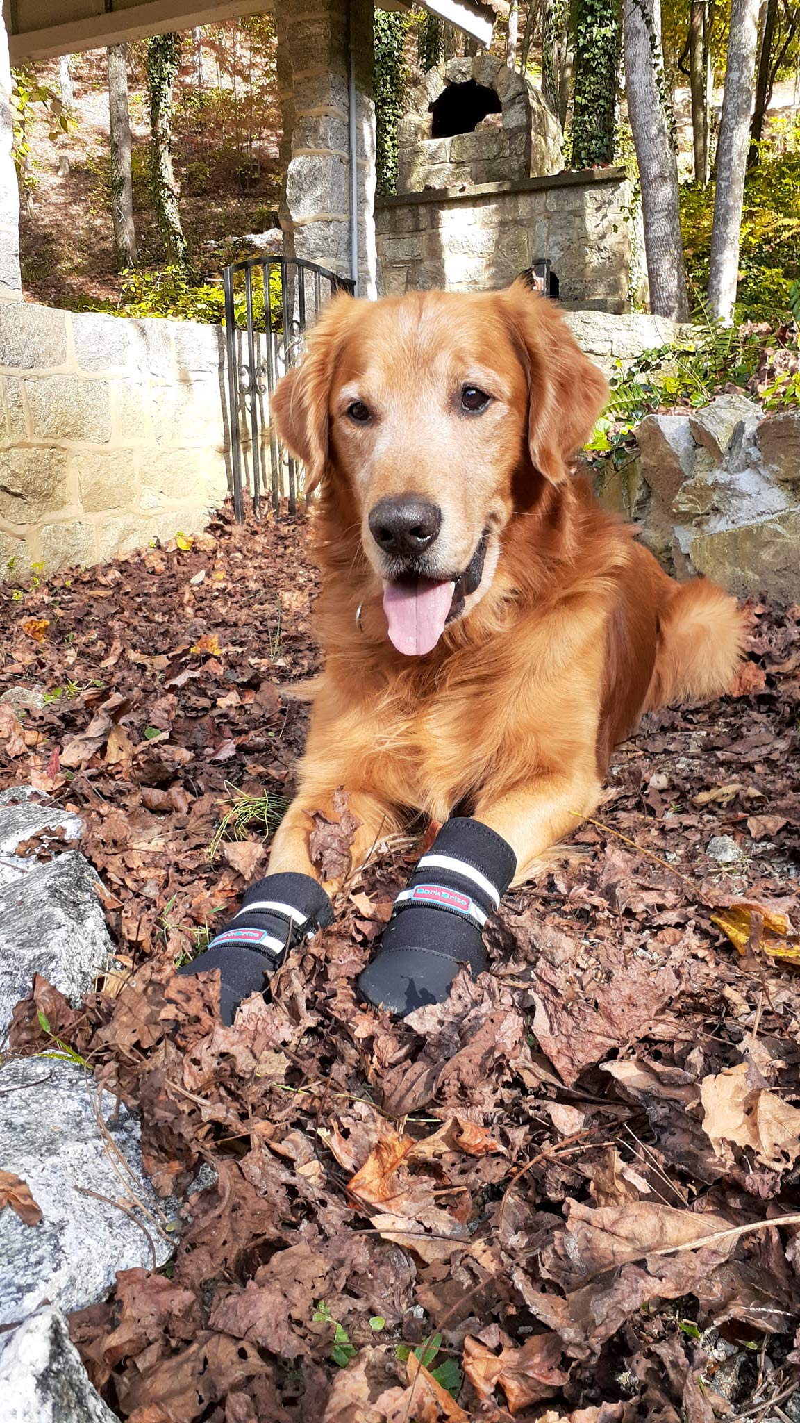 Bark Brite: guide des tailles pour un ajustement sûr.