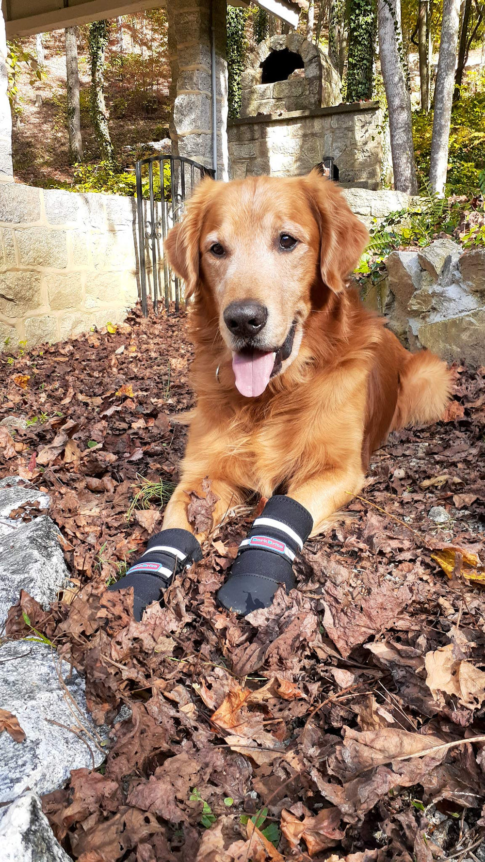Bark Brite: guide des tailles pour un ajustement sûr.