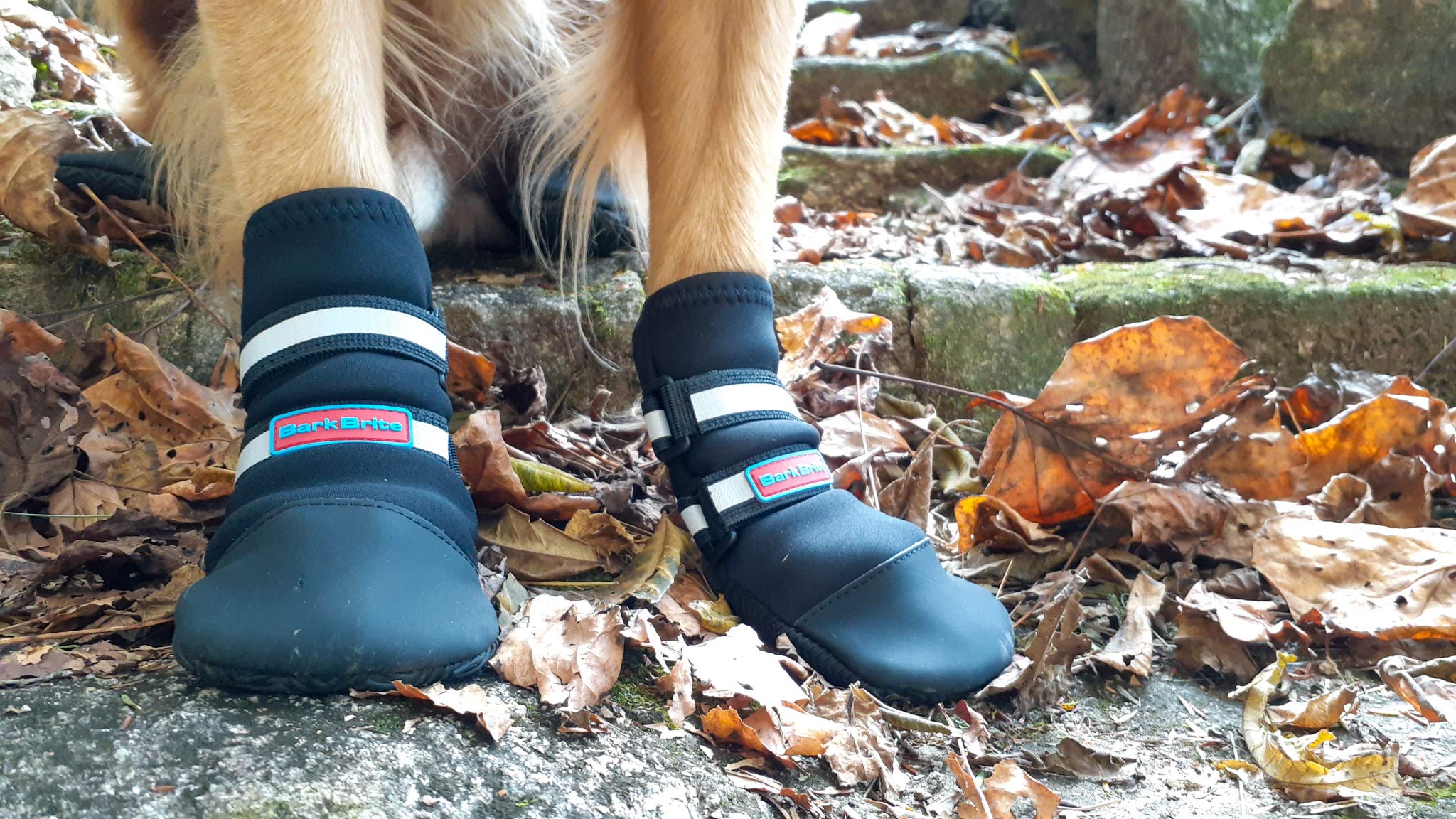 Guide des tailles Bark Brite — ajustement flexible et sécurisant.