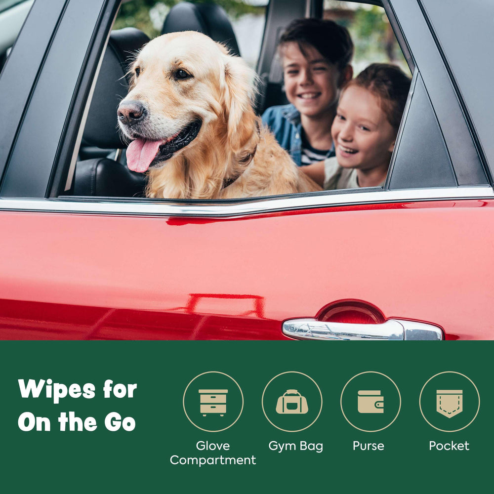 Utilisation pratique en déplacement Bark & Clean lingettes pour sorties