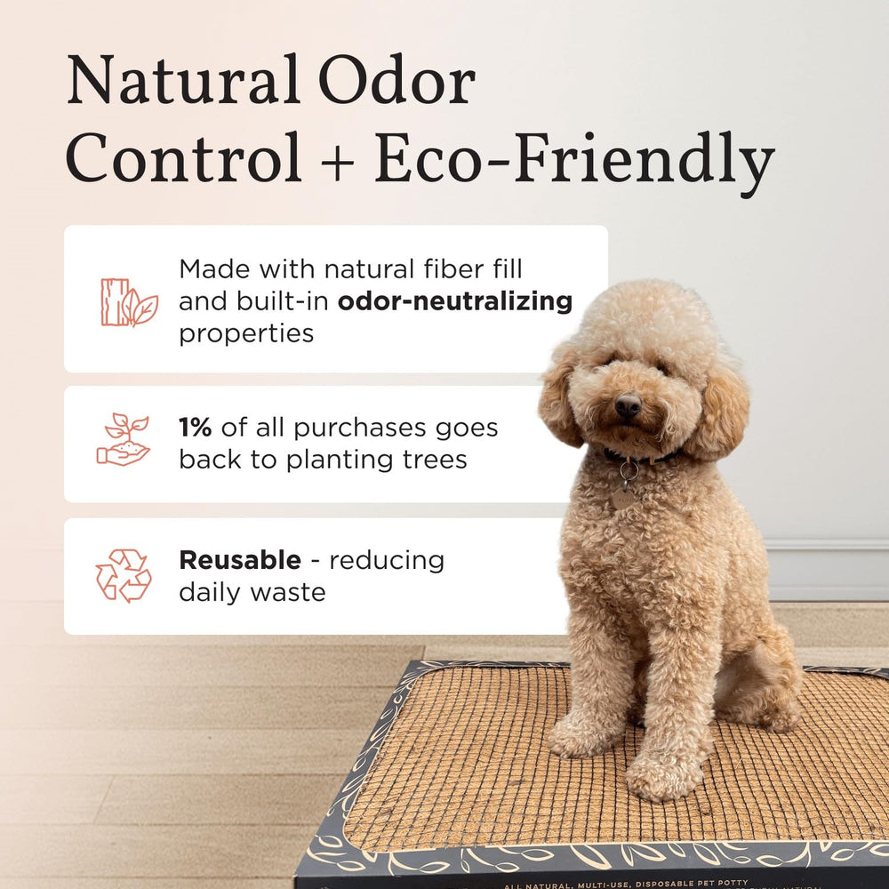 Bark Potty pour chiot en dentition, douceur et sécurité.