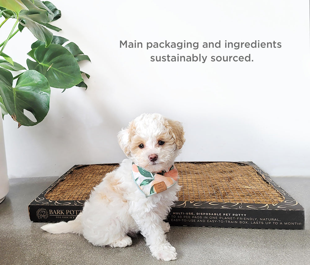 Bark Potty emballage durable et mois d'utilisation selon l'usage