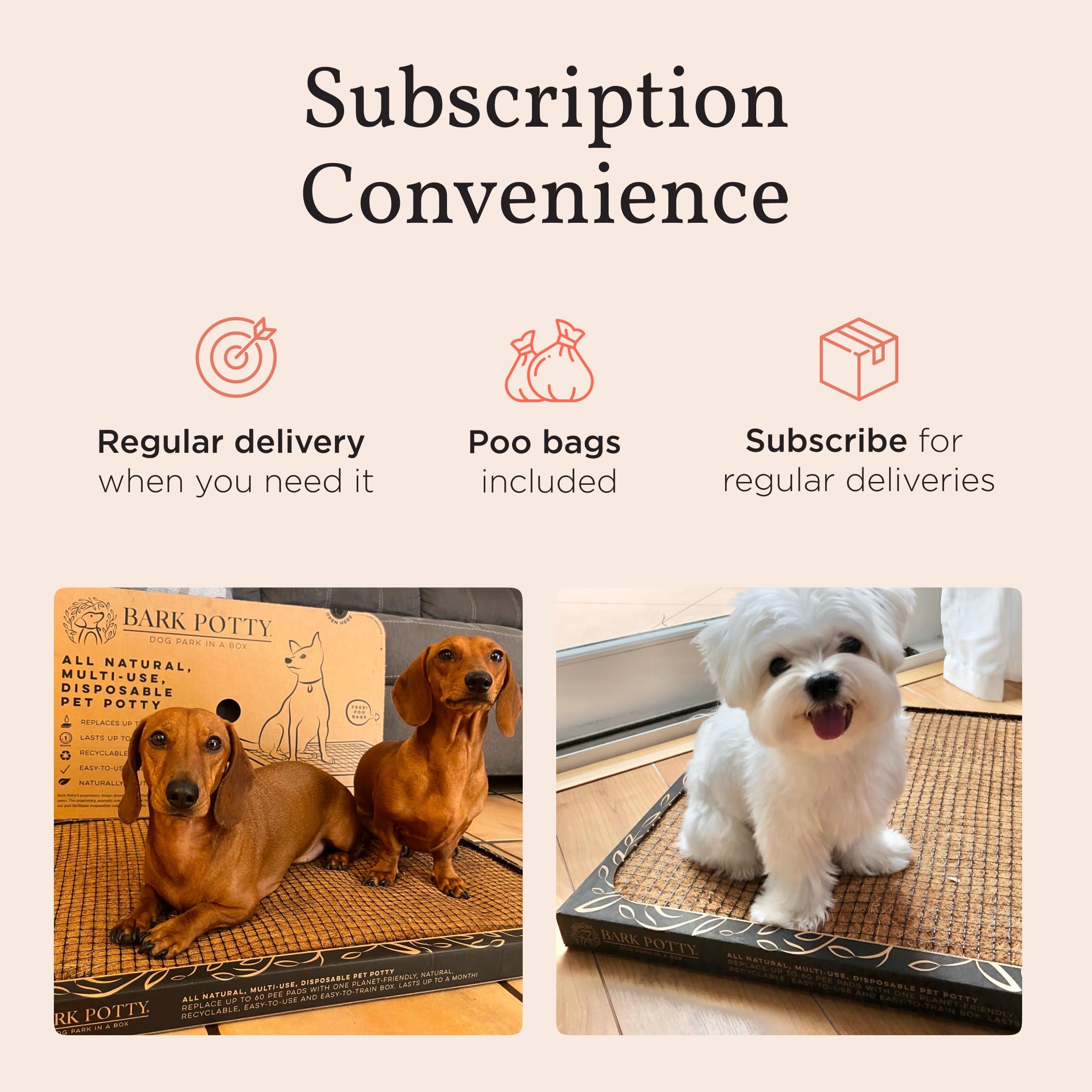 Bark Potty format large 30x20 pour chiens moyens.