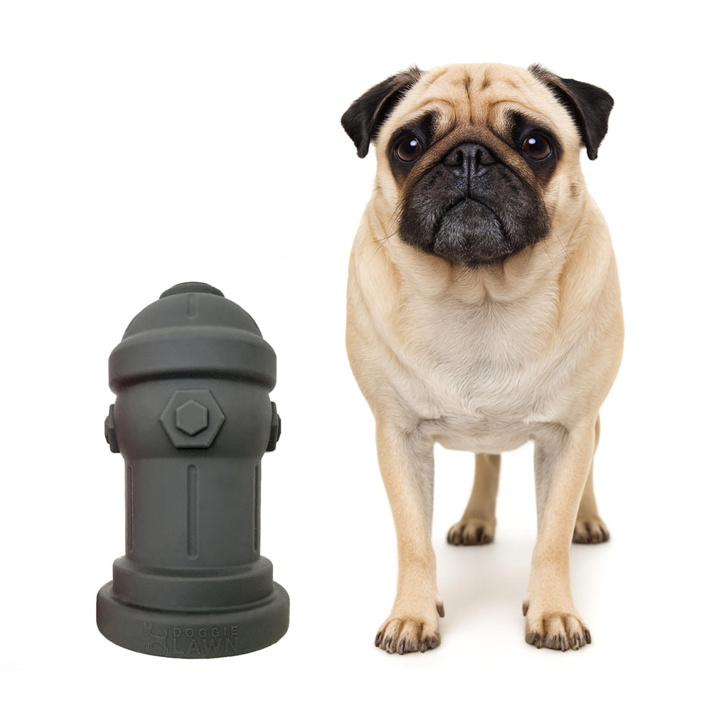 Bark Potty hydrant petit-chien 4x7 gris, silicone, idéal pour entraînement intérieur.