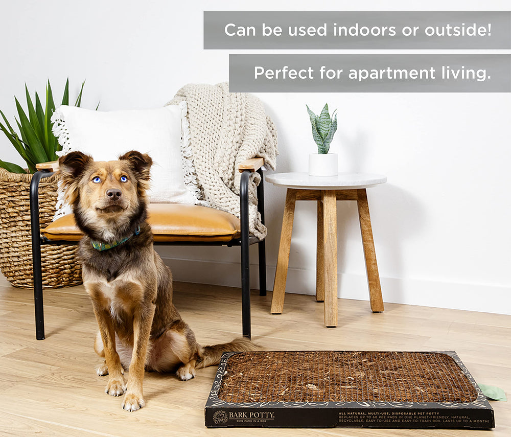 Bark Potty option respectueuse de l'environnement pour l'entraînement.